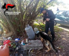 TAURASI (AV) – LOTTA ALLA DROGA: OPERAZIONE DEI CARABINIERI DELLA COMPAGNIA DI MIRABELLA ECLANO