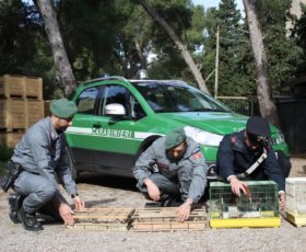 Taglio del nastro a Valle dell’Angelo per la  nuova caserma dei Carabinieri forestali.