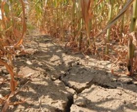 In Campania è SOS acqua tra emergenza siccità e rete idrica bucata, Avellino ne perde per strada il 46%