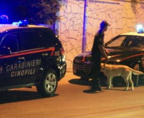 Montoro, coppia coltivava marjuana in casa, i carabinieri trovano anche munizioni, denunciati