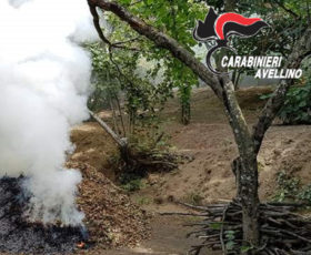 FORINO – NUOVI ROGHI AGRICOLI: CARABINIERI DENUNCIANO ALTRE QUATTRO PERSONE