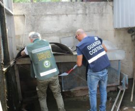 BLITZ AL “SARNO ROSSO”  SEQUESTRATO IMPIANTO DI DEPURAZIONE AD UNA FABBRICA CONSERVIERA