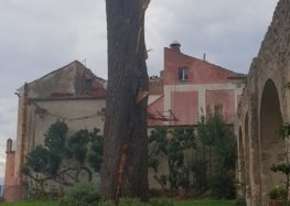 Ravello – Fulmine colpisce un pino al Belvedere Principessa di Piemonte. Strada interna interrotta per verifiche