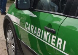 Lacedonia (AV)-A caccia con richiami vietati:65enne denunciato dai Carabinieri Forestali