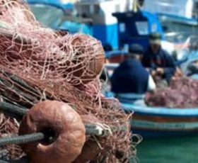 Salerno. Pesca, liquidazione del fermo 2016. Falcone: “Il ministro Centinaio per gli operatori italiani”