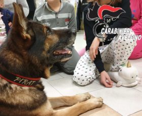 Solofra. Reparto pediatria dell’ospedale”Landolfi” in festa con unità cinofila dei Carabinieri