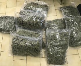 Fisciano. Trovato in possesso di 10,5 chili di marijuana: arrestato spacciatore