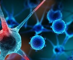 Fisciano. Tumore al seno: una ricerca dell’Università di Salerno