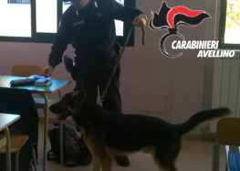 Studentessa in possesso di marijuana, segnalata alla Prefettura dai carabinieri