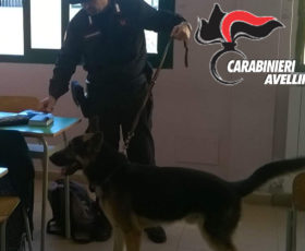 Studentessa in possesso di marijuana, segnalata alla Prefettura dai carabinieri