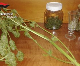 Lo trovano in possesso di droga, nei guai un 17enne di Serino