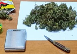 VOLTURARA IRPINA (AV) – COLTIVAVA MARIJUANA: 48ENNE ARRESTATO DAI CARABINIERI.