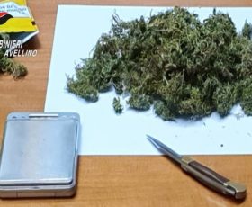 VOLTURARA IRPINA (AV) – COLTIVAVA MARIJUANA: 48ENNE ARRESTATO DAI CARABINIERI.