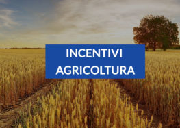 Riceve contributi Agricoli con false documentazioni, gli sequestrano beni per 50mila euro