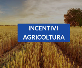 Riceve contributi Agricoli con false documentazioni, gli sequestrano beni per 50mila euro