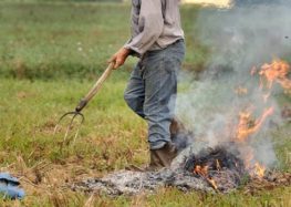 Forino. Roghi agricoli, denunciato 40enne