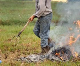 Forino. Roghi agricoli, denunciato 40enne